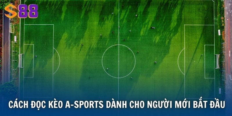Cược Thể Thao A-sports Tại S88VIP - Trải Nghiệm Cá Độ Đỉnh Cao 3 Cách đọc kèo A-Sports dành cho người mới bắt đầu