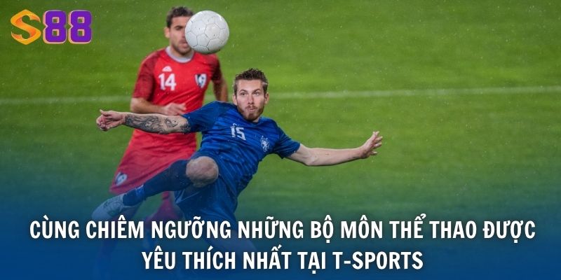 Cùng chiêm ngưỡng những bộ môn thể thao được yêu thích nhất tại T-Sports
