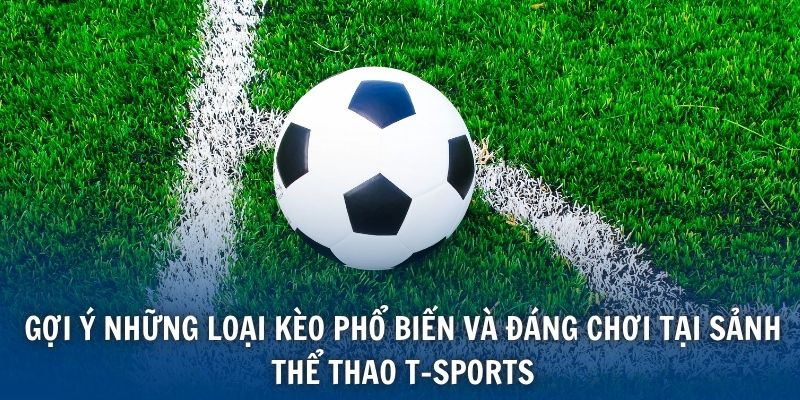 Gợi ý những loại kèo phổ biến và đáng chơi tại sảnh thể thao T-Sports