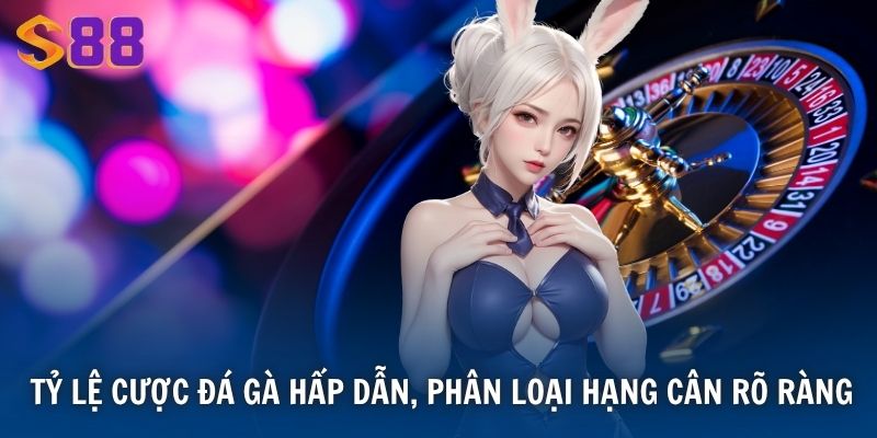 Tỷ lệ cược đá gà hấp dẫn, phân loại hạng cân rõ ràng